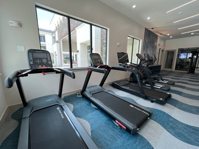 The Vic at Woodforest- Fitness Center
